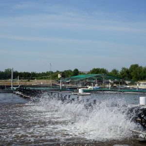 Đèn chiếu sáng bể bơi