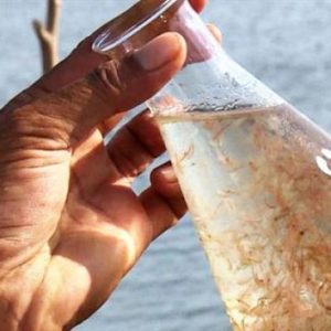 Hóa chất xử lý hồ bơi