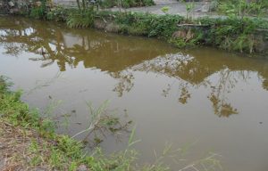 nuoc nhiem phen la gi anh huong den suc khoe ra s 14